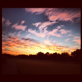 How do you handle a crisis?