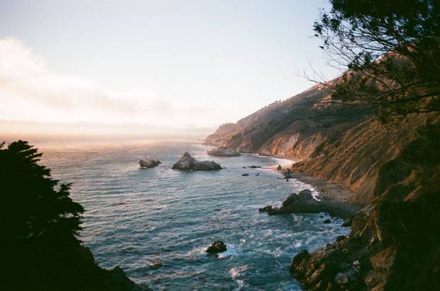 12513689_10102575454101223_3788153094770355793_o