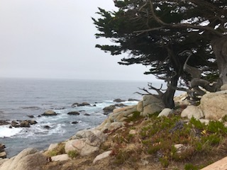 monterey bay