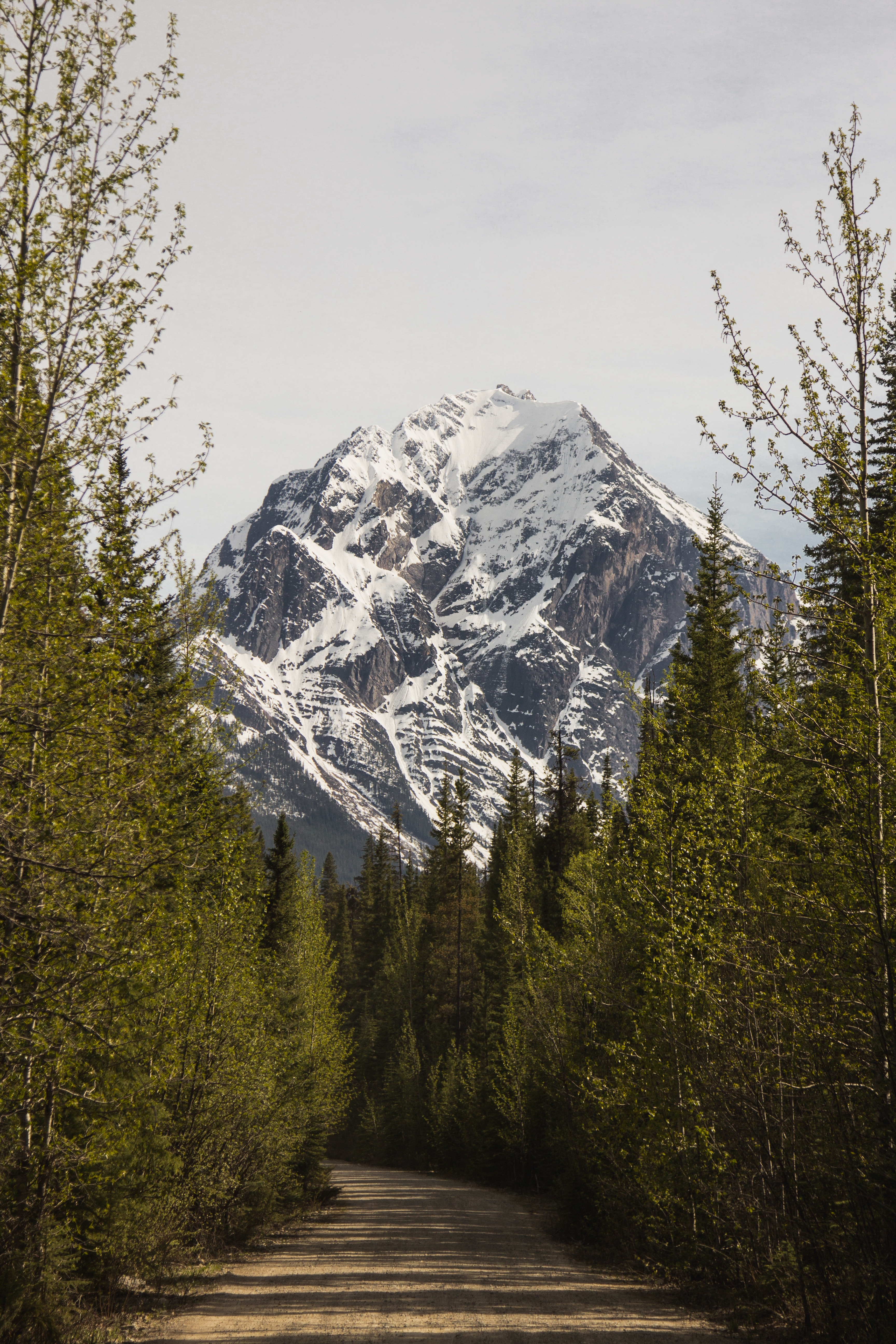 adam-patterson-327683